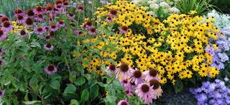 We did not find results for: Planting A Bee Friendly Garden Belgian Nursery