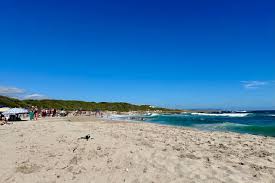 Street names in suburbs normally follow a theme, and Vermont follows this  trend loosely, by using birds (Fisante, Fulmar, Gannet, etc), animals  (Lynx, Turtle, alikreukel, limpet, Siffie, etc), Plants (Bietou, Dekriet,  Kandelaar,