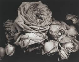 Artist Profile Edward Steichen S Foray Into Color Photography Swann Galleries News