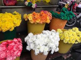 Maybe you would like to learn more about one of these? Ross Indian Florist Florist In Setapak