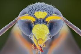 See your favorite men' jacket and boys jackets discounted & on sale. Exclusive Art Photography Yellow Jacket Europosters