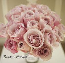 The Blush Pink Rose Study Garden Rose Bouquet Red Rose Bouquet Blush Pink Rose