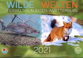Kw 53 verlängertes wochenende bundesweit heilige drei könige mi. Schulkalender Wilde Welten 2021