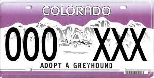 Get Adopt A Greyhound Colorado License Plates Now Greyhound Adoption License Plate