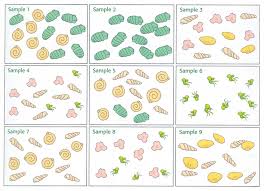 Use the law of superposition to choose the correct answer for the following questions about rock layers and relative age. Dating The Fossil Record Activity Timeline Url To