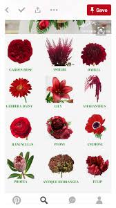 Maybe you would like to learn more about one of these? Pin On Blumenvorschlage