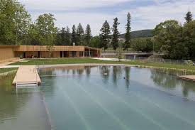 Herzog De Meuron Creates Natural Bathing Pond For Naturbad Riehen Pool Swimming Pools Public Bath