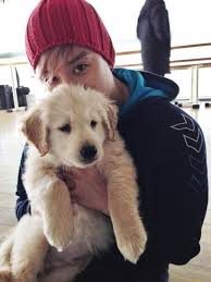 Ugh Noooo No Idols And Puppies It S Too Much I Can T Take It Ugh Here Comes The Feels U Kiss Korean People Puppies