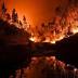 At least 24 killed as fierce wildfire rages in Portugal - Honolulu ...