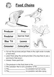 Student Activity Sheet Food Web Yahoo Search Results Food Web Worksheet Food Chain Worksheet Food Chain