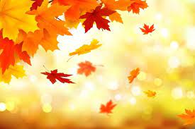 Maybe you would like to learn more about one of these? Free Vector Hand Drawn Autumn Background