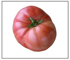 Heirloom tomatoes have become increasingly popular, and are known for their delicious flavors. German Giant Tomato Plants For Sale Online German Giant Heirloom Tomato Plants Buy German Giant Tomato Plants Piedmont Farm Garden