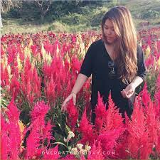 Pin On Travel Philippines