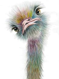 Ostrich 2 Signed Print Available In 4 Sizes From A4 To A1 By Maria Moss Love Birds Painting Animal Paintings Birds Painting