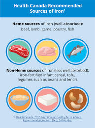 Image result for Infant Nutritional Sources