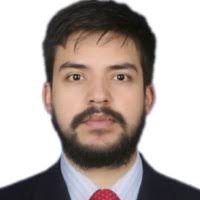 90+ perfiles de «Nelson Felipe»