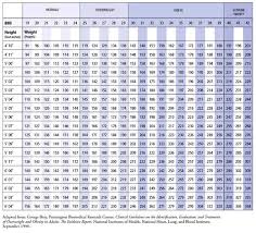 References Elevation Physicians