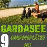 Anfahrt Lage Campingplatz Camping Ostsee Campingprodukte