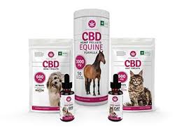 A vitamin deficiency can weaken your dog's immune. Cbd For Pets And Farm Animals Best Cbd In 2020