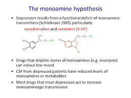 Pharmacology Of Antidepressants And Mood Stabilisers Ppt Download