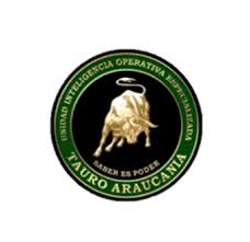 Operacion Andes El Otro Plan De Inteligencia Que Se Vino Abajo Con El Huracan Ciper Chile