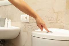 Choosing Your Next Toilet: Push-Button or Handle-Flush ...