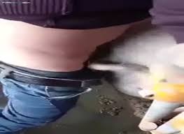 Watch hot pig gets banged online on youporngay.com. Boy Fuk Pig Extrem Sex And Taboo Porn