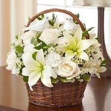 Maybe you would like to learn more about one of these? Gainesville Flower Gainesville Florist Uf Florist Gator Florist