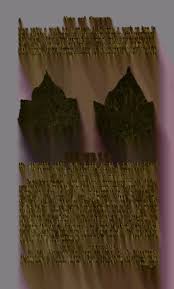 Image result for Trichopteryx fruticulosa