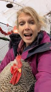 Please consider adopting a rooster! #adoptaroo #adoptdontshop  #chickensoftiktok #petchickens #roostersoftiktok #crazychickenlady