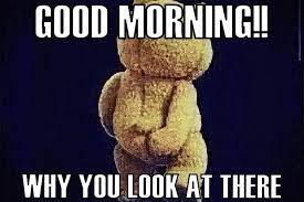 115 Of The Funny Good Morning Memes And Images To Cheer You Up With Pictures Littlenivi Com