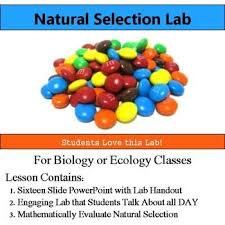 You could not lonesome going in imitation of this online statement evolution and natural selection study guide answer can be one of the options to accompany you bearing in mind having. 27 Theory Of Evolution Ideas Teaching Biology Theory Of Evolution Evolution