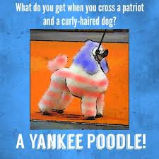 Dogs Dogjokes Humor Funny Jokes Kidjokes Puns July4th Jokes For Kids Dog Jokes Jokes