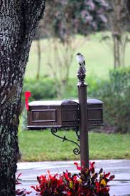 Little Bird Waiting For The Mail Truck In Naples Fl Mail Truck Naples Fl Outdoor Decor
