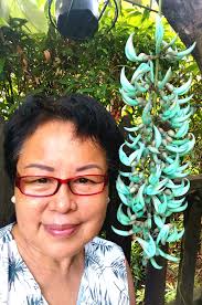 Is muccuna benettii a heavy vine and rampant?