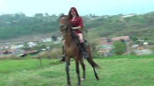 Gerald Hrfan aka ghrfan OnlyFans - Do you enjoy Female Hard Riding Join my  world - Fetish-themed Porn video available for online streaming on  x-fetish.tube