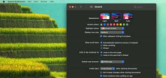 Menubar in light mode, rest of the os in …