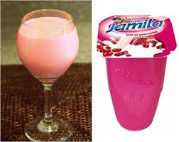 Raibi Jamila Nostalgic Moroccan Drink Homemade Recipe Cookingwithalia Episode 188 Yogurt Drink Recipe Yogurt Drinks Ramadan Recipes