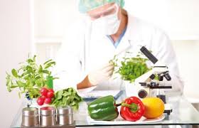 Food scientists and technologists overview. Food Science A Smorgasbord Of Opportunity Nature