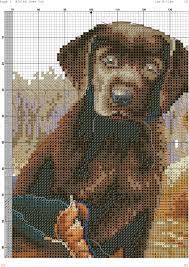 Number of colors used in this chart: Pin By Cristina Mainero On Flor Animal Cross Stitch Patterns Cross Stitch Animals Cross Stitch Alphabet Patterns