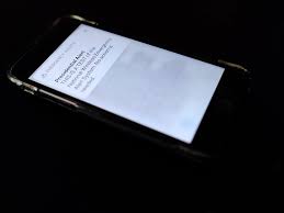 Authorities are looking for royce wood. 3stlyojv2bgkxm