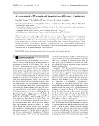 Image result for Syncolostemon elliottii