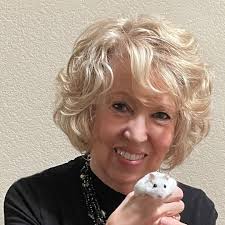 Amazon.com: Susan Hauth: books, biography, latest update