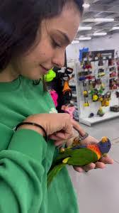 Lori Sink's Instagram, Twitter & Facebook