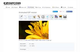 Resize Animated Gif What is the pixel size for 50 kb 24.