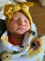 Annie Steigerwald (@Asteigerwald23)