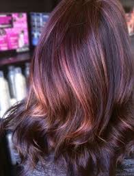 Dark Brown W Rose Gold Highlights Hair Highlights Plum Hair Hair Color Plum