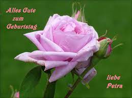 Maybe you would like to learn more about one of these? Liebe Petra Foto Bild Gratulation Und Feiertage Geburtstag Gluckwunsche Bilder Auf Fotocommunity