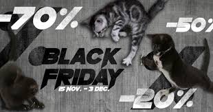 Day 1 the overall response to the sale was really good with the the 2018 deciem black friday sale went live on thursday 22nd november 2018 at 10am (uk) and. Blogul Maros Bike Black Friday La Maros Bike
