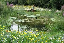 Some plants love wet and cool areas like river banks and often can survive even prolonged periods of imagine a river changing curse and the area where water loving plants where dominant dries out. Wildflowers And Plants For A Wet Or Damp Part Of The Garden The Wildflower Garden
